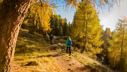 Rundwanderung von der Riederalp via Grünsee, Silbersand und zurück