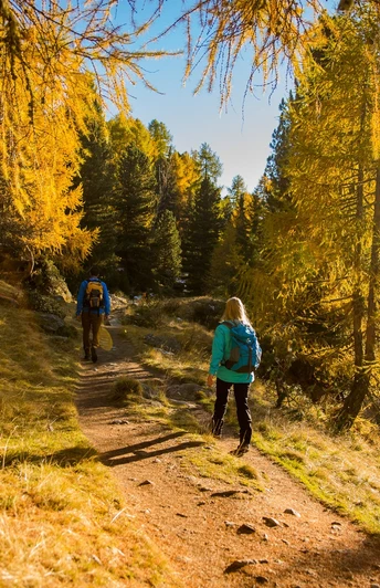 Rundwanderung von der Riederalp via Grünsee, Silbersand und zurück
