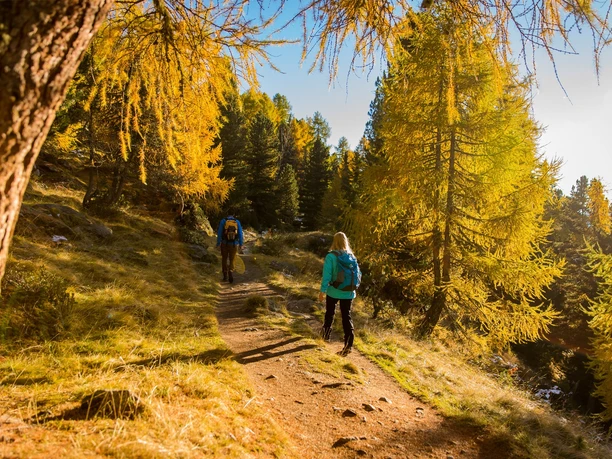 Rundwanderung von der Riederalp via Grünsee, Silbersand und zurück