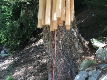 Wanderung Schatzsuche «Auf den Spuren der Gogwärgini»