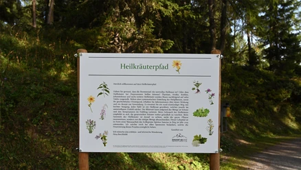 Themenrundweg Heilkräuterpfad