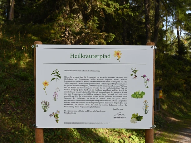 Themenrundweg Heilkräuterpfad