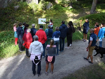 Themenrundweg Heilkräuterpfad