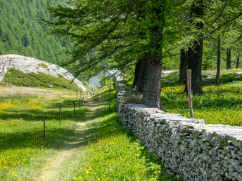 Engi Stockalperweg mit Trockensteinmauern