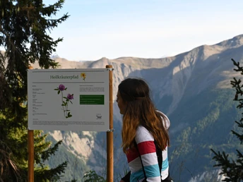 Themenrundweg Heilkräuterpfad