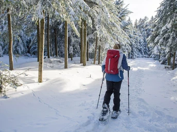 Schneeschuhwandern in Bad Peterstal Griesbach