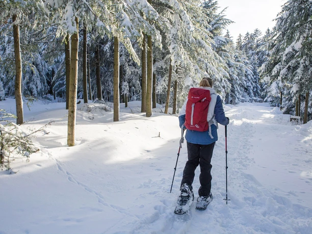 Schneeschuhwandern in Bad Peterstal Griesbach