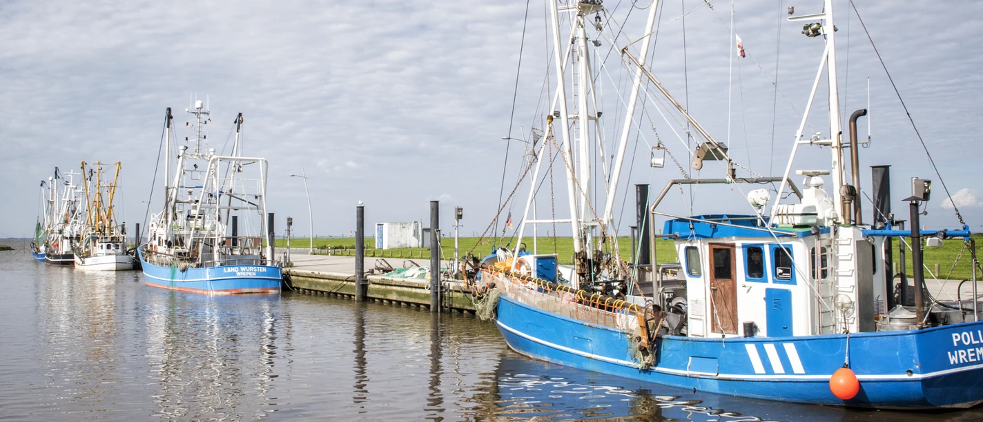 Kutterhafen in Wremen, Kleiner Preuße
