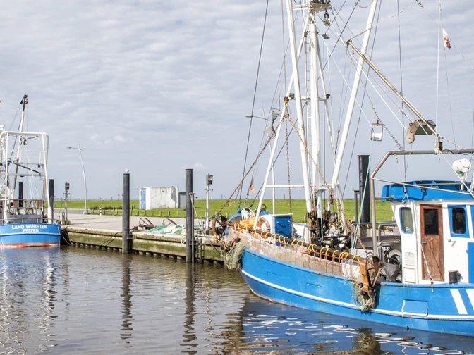 Kutterhafen in Wremen, Kleiner Preuße