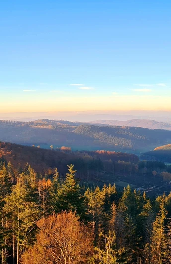 Qualitätstour Wilder Vogler (Go 1)