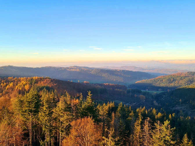 Qualitätstour Wilder Vogler (Go 1)