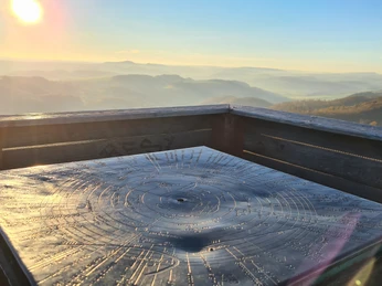 Qualitätstour Wilder Vogler (Go 1)