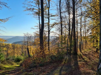 Qualitätstour Wilder Vogler (Go 1)