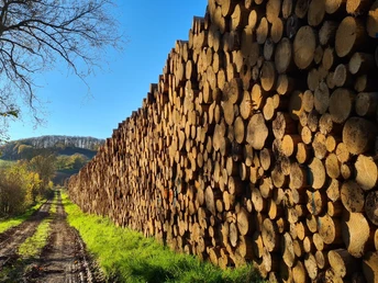 Qualitätstour Wilder Vogler (Go 1)