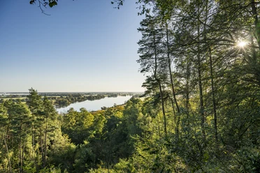 Aussichtspunkt Viehler Höhe Aussichtspunkt Viehler Höhe mit Blick auf die Elbe