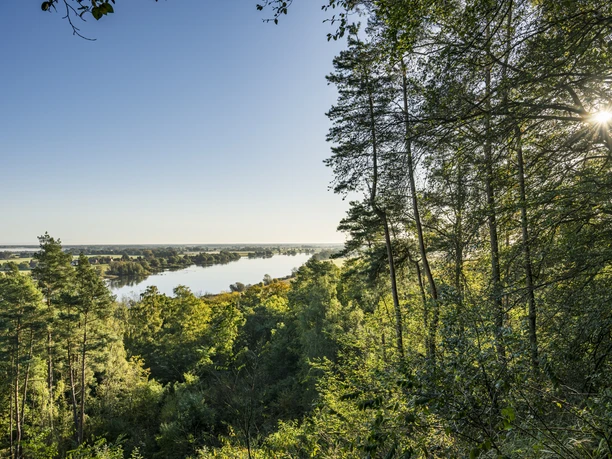 Aussichtspunkt Viehler Höhe Aussichtspunkt Viehler Höhe mit Blick auf die Elbe