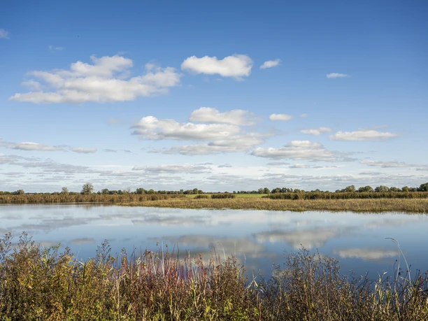 Elbe landscape in Radegast Elbe landscape in Radegast