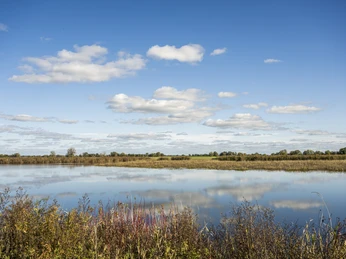 Elbelandschaft in Radegast Elbelandschaft in RadegastElbe landscape in RadegastPaysage de l'Elbe à RadegastElbe landschap in RadegastElbens landskab i Radegast