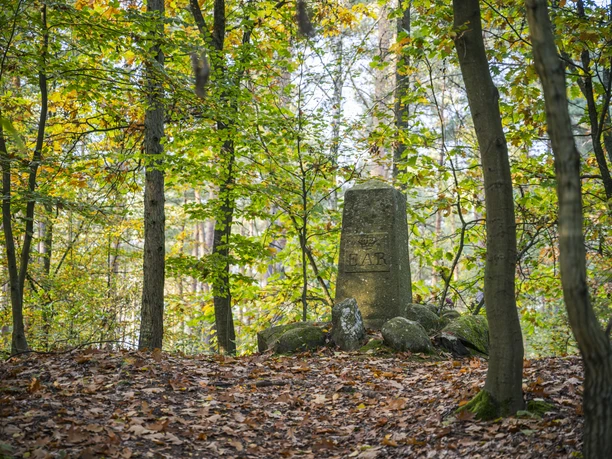 Ernst-August-Rex- Gedenkstein auf dem Telegraphenberg Ernst-August-Rex Gedenkstein auf dem Telegraphenberg in Breetze