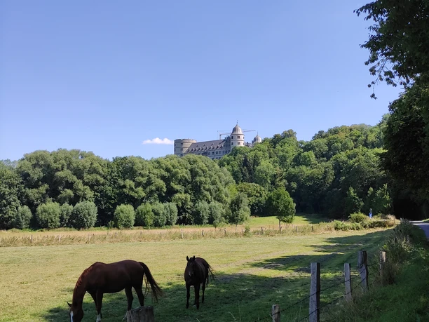 Blick auf die Wewelsburg Blick auf die Wewelsburg