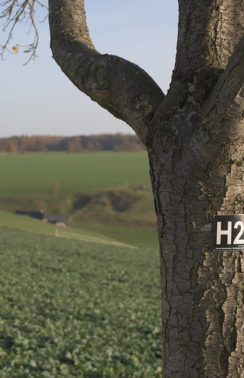 Wanderwegezeichen H2