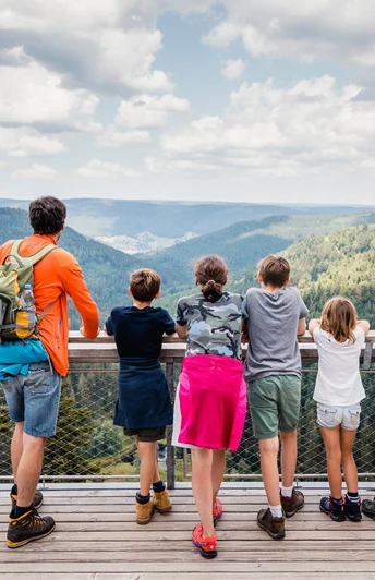 Aussichtsplattform Ellbachseeblick