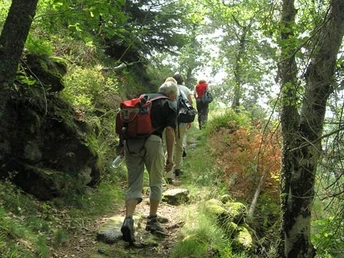 Auf dem Wandertrail bei der Elsbethhütte