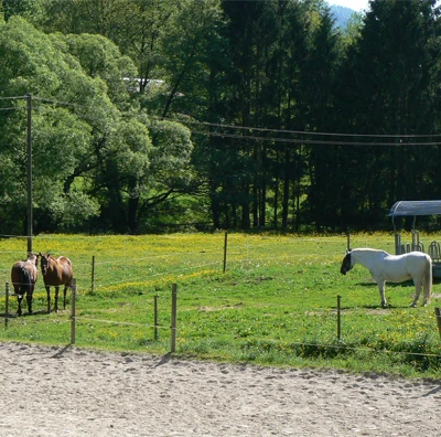 Reiterhof Laufbachtal