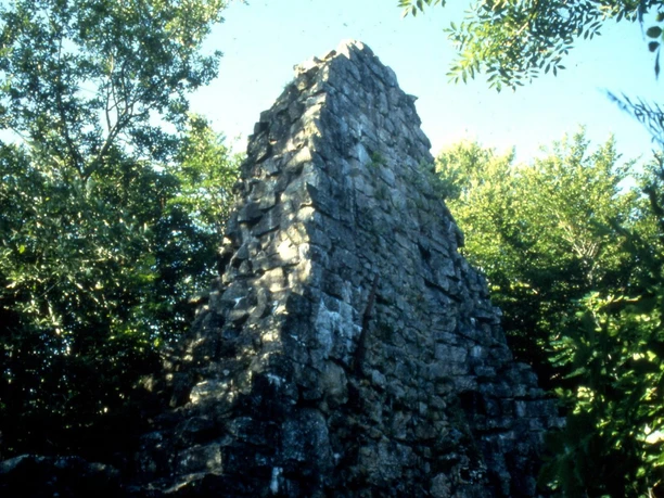 Burgruine Brigittenschloss