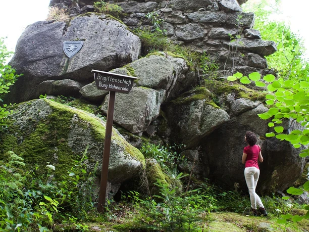 Burgruine Brigittenschloss