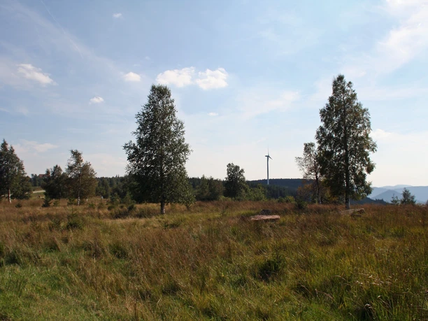 NSG Kniebis-Alexanderschanze