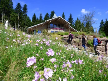 Die Berghütte Lauterbad