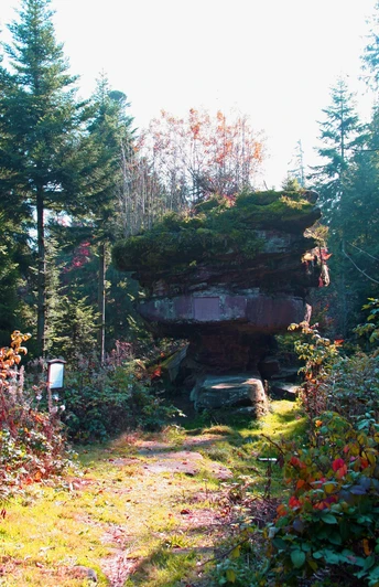 Naturdenkmal Kastelstein