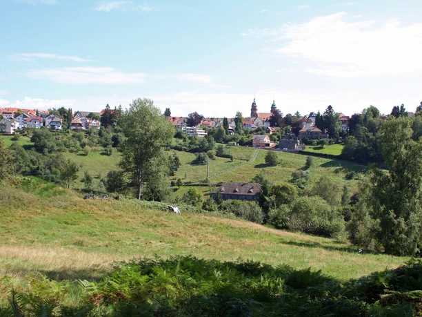 Blick vom Bärenschlössle nach Freudenstadt