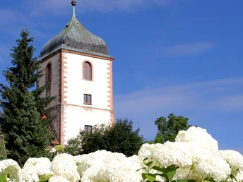 Weiß blühende Hortensien im Hintergrund die "Alte Kirche Fautenbach"