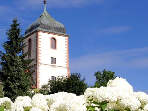 Weiß blühende Hortensien im Hintergrund die "Alte Kirche Fautenbach"
