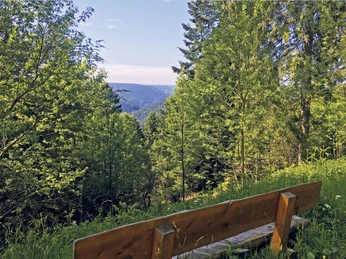 Bank mit Aussicht an der Hahnenhütte