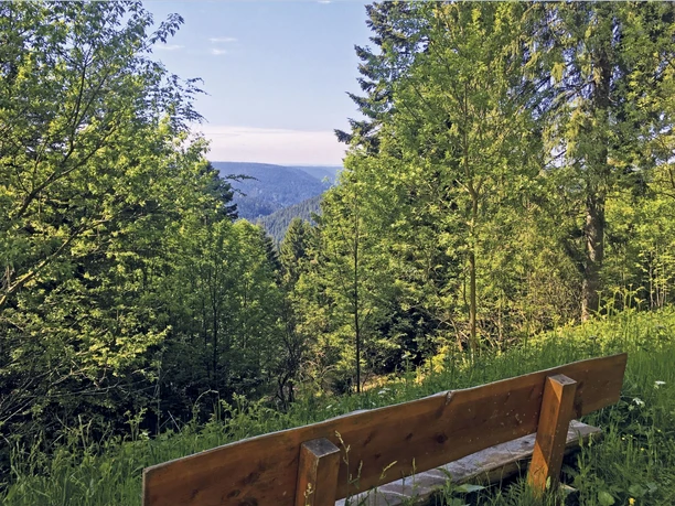 Bank mit Aussicht an der Hahnenhütte