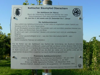 Schild mit Wegbeschreibung des keltischen Baumpfads mit Informationen zum Apfelbaummensch (Baumhoroskop).