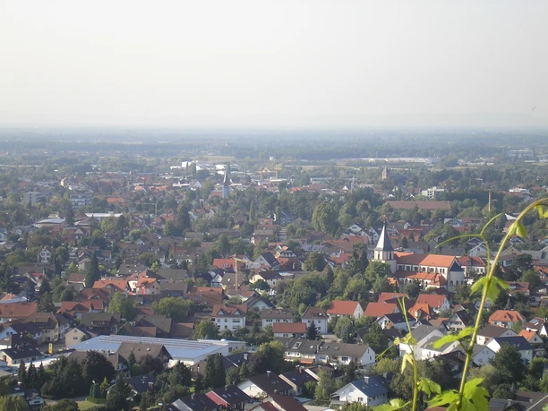Blick von einer Anhöhe, Bienenbuckel auf das Dorf Oberachern. Hier sieht man viele Häuser eng aneinander und die Kirche.