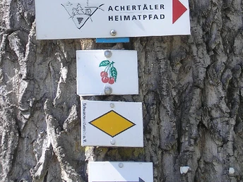Vier viereckige kleine Wanderschilder zur Orientierung an einem Baum, Dreikirschen und Blätter für den Dreikirschenweg, die gelbe Raute für den Schwarzwaldverein, ein Pfeil und ein Schild für den Achertäler Heimatpfad