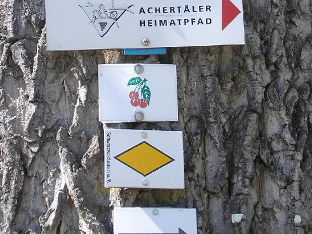 Vier viereckige kleine Wanderschilder zur Orientierung an einem Baum, Dreikirschen und Blätter für den Dreikirschenweg, die gelbe Raute für den Schwarzwaldverein, ein Pfeil und ein Schild für den Achertäler Heimatpfad