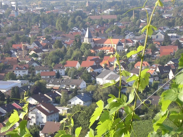 Blick von weit Oben auf Oberachern, mittig Kirche, im Vordergrund grüne Blätter von Weinreben.