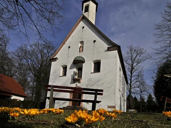 Blick auf Antoniuskapelle, im Vordergrund gelbe Krokusse.