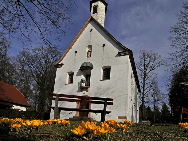 Blick auf Antoniuskapelle, im Vordergrund gelbe Krokusse.