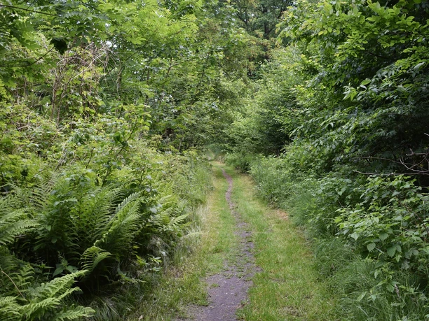 Karswald Karswald