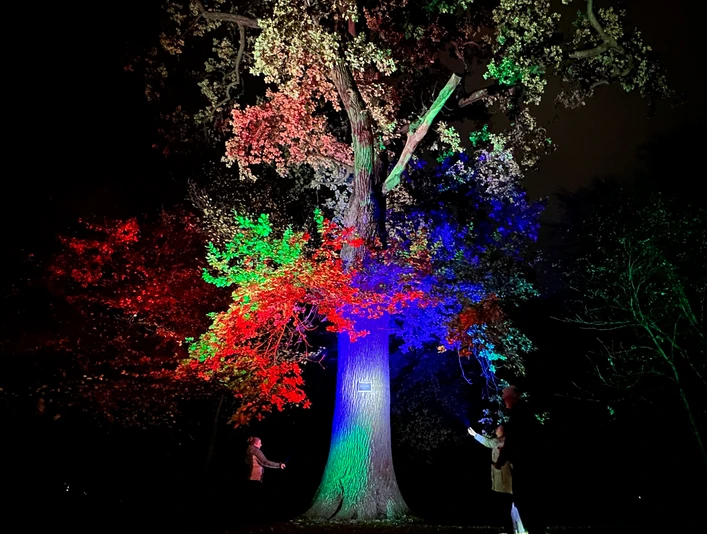 Stadtführung mit der Taschenlampe in Rinteln an der Friedenseiche im Blumenwall Stadtführung mit der Taschenlampe in Rinteln an der Friedenseiche im Blumenwall