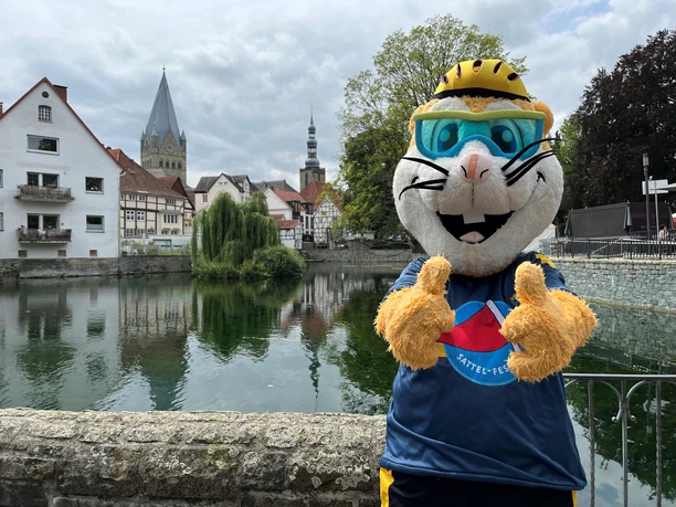 Sattelfest