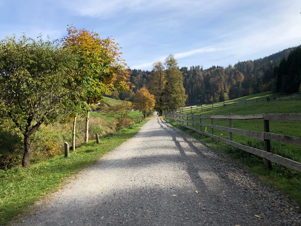 Kreuzweg Richtung Meinradsberg