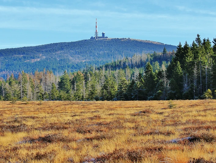 Brocken_Torhaus_Moor